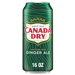 CANADA DRY - GINGER ALE 16OZ BIG CANS 24PC
